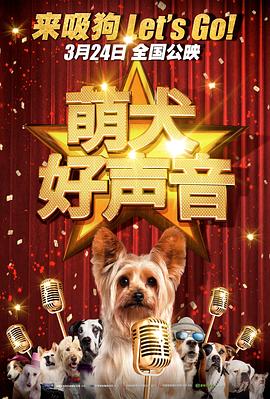 91视频首页
