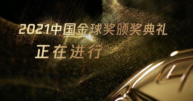 老女人av在线