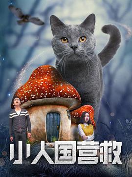 久久久欧美精品