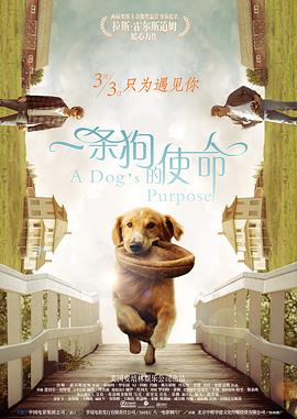 我是苏畅我回来了酒后的渴望