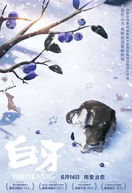一级无毛