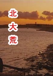 香蕉视频国产精品人