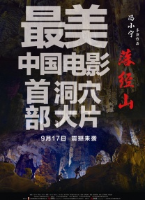 成人伊人网