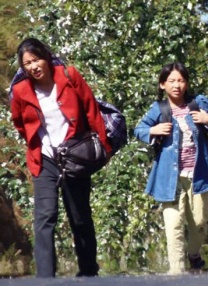 japanese 护士