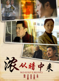 精品综合